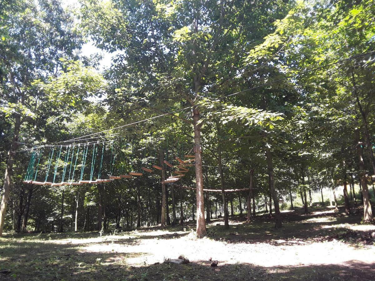 Albergue Mandoia Aterpetxea 艾伦扎佐 外观 照片